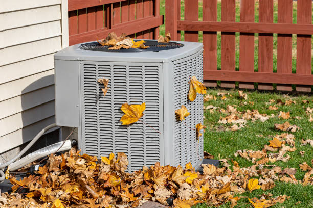 Best HVAC Air Duct Cleaning  in Goodhue, MN